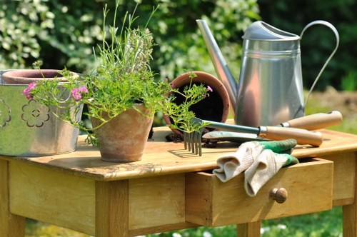 Eco-friendly garden clearance services in Kentish Town