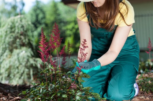 Essential garden maintenance tools arranged neatly