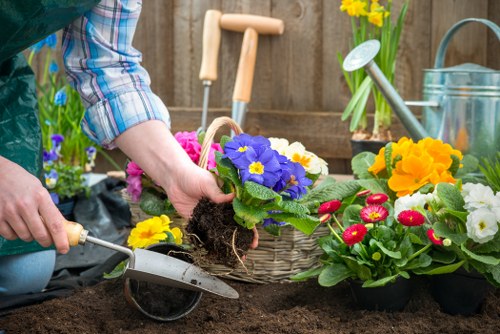 Professionals maintaining a deck