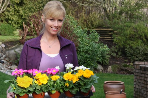 Seasonal garden care with blooming spring plants